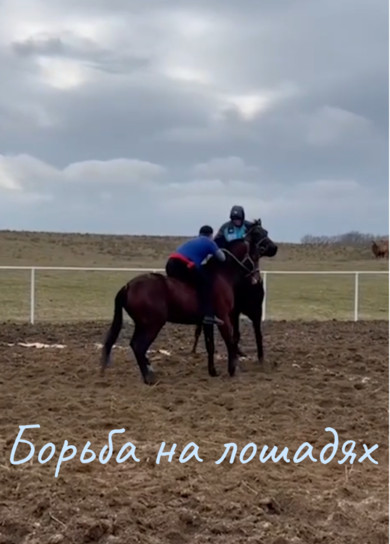 Борьба на лошадях - авдастырув